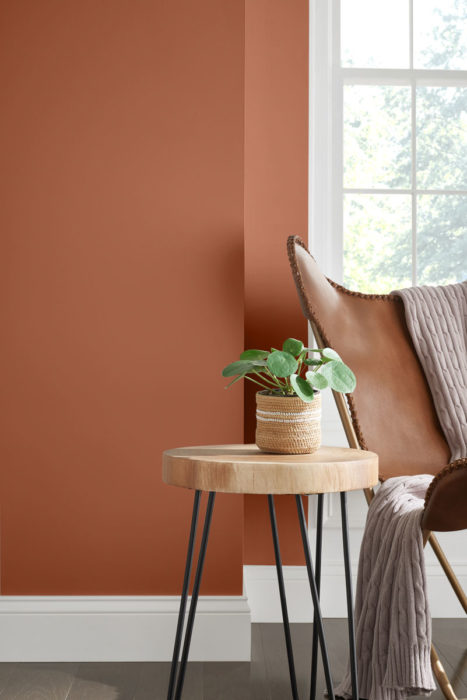The 2019 Color of the Year from Sherwin-Williams is Cavern Clay. 